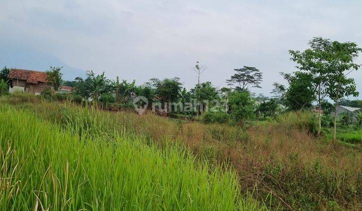 Dijual Cepat Dan Murah Tanah Di Majalaya, Shm 2