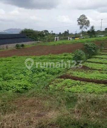 Dijual Tanah Pasir Halang dekat KCIC, padalarang. Bandung barat 1