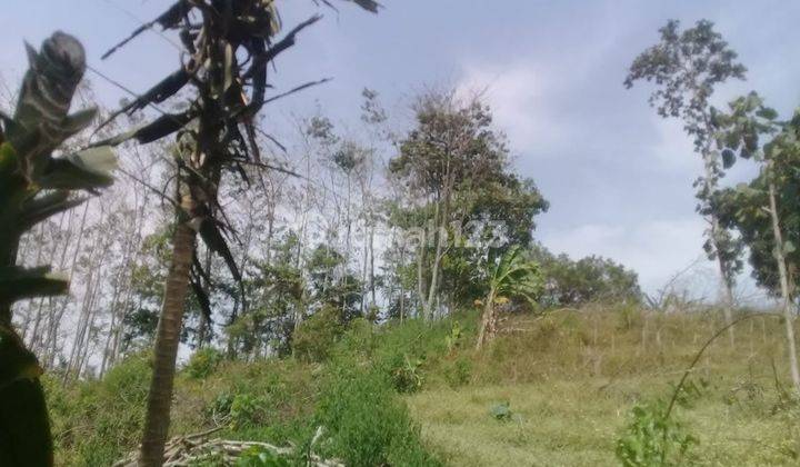 Dijual Tanah Kavling Murah 4018 M² Di Tanjungsari Jatinangor 2