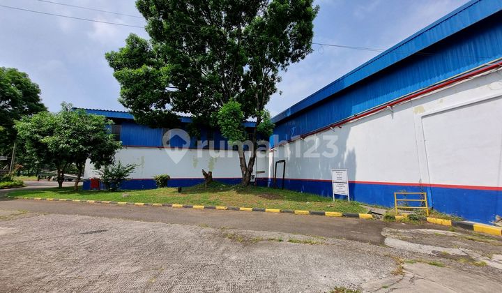 Disewakan Gudang Luas 2 Ha Di Rancaekek Bandung