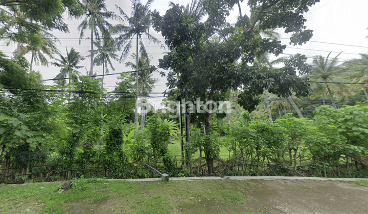 TANAH 1HA ZONA PARIWISATA NOL JALAN SENGGIGI LOMBOK BARAT 1