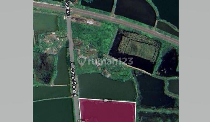 Tambak Produktif Duduk Sampeyan, 300 meter dari Nol Jalan Raya Propinsi Gresik-Lamongan 1