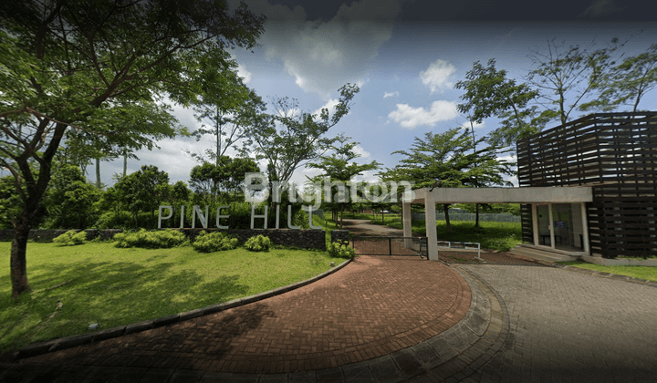 TANAH PINE HILL ARAYA DEKAT UNIVERSITAS BINUS 1