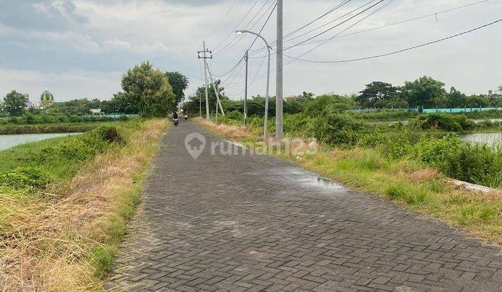 Tambak Produktif Duduk Sampeyan, 300 meter dari Nol Jalan Raya Propinsi Gresik-Lamongan 2