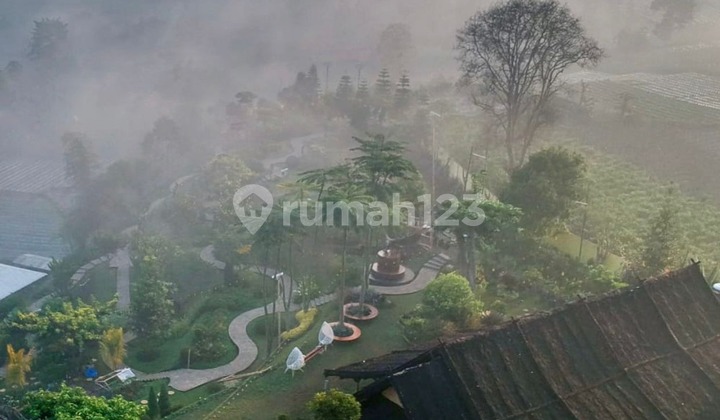 Tanah Kebun Sayur 42000m2 SHM Lembang Bandung Tanah Kebun Sayur 42000m2 SHM Lembang Bandung