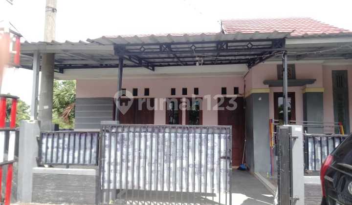 For Sale Corner House Fully Renovated Ciputra Citra Indah City 2