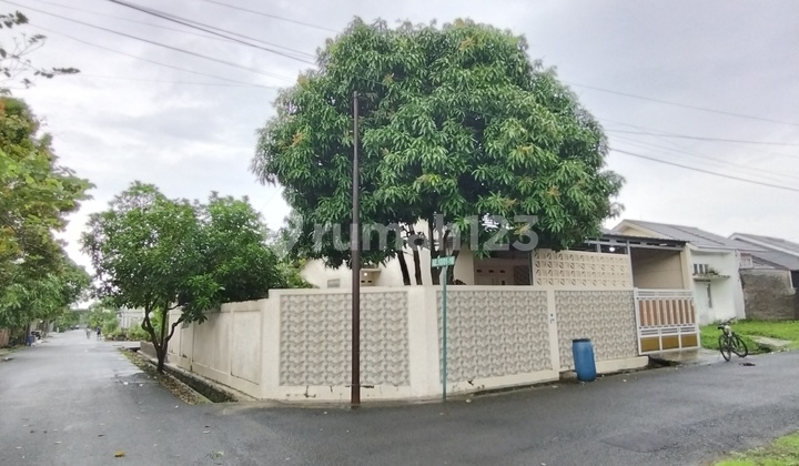 Dijual Rumah Hoek Murah Citra Indah City 2
