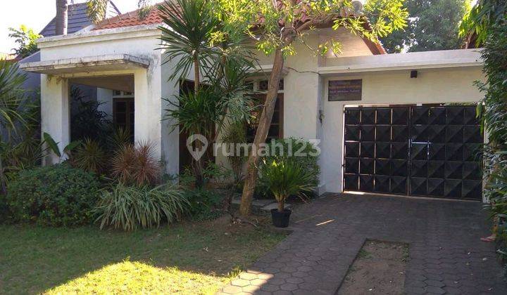 Rumah Nias Raya Gubeng Surabaya Harga murah (Edd.ya1371) 1