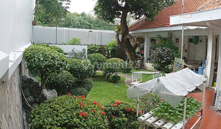 Rumah Raya Darmo Kapuas Surabaya Harga Murah (dav.ya3020) 2