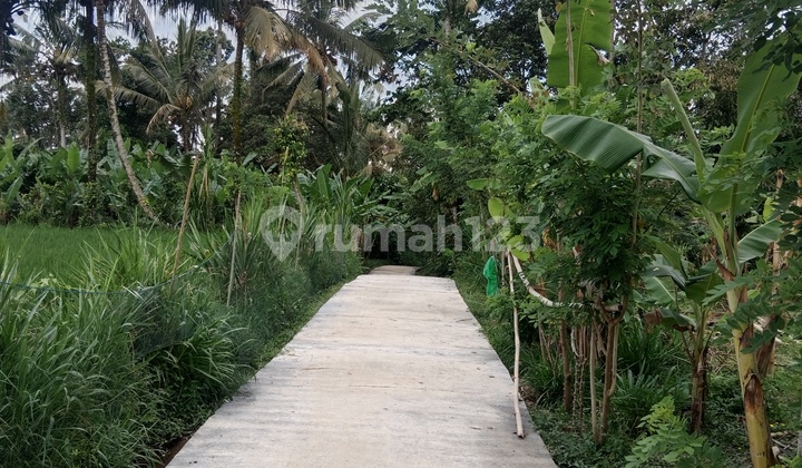 Land Ready to Develop and Seeking Collaboration for Sale, such as Plot Land or Villa.