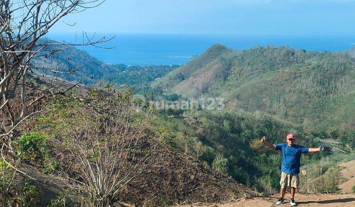 Tanah Dengan Amazing View Di Sekotong Tanpa Blok Selamanya 360 % View Laut Dan Bukit Pinggir Jalan Aspal 1