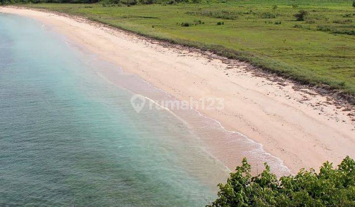 Tanah Langsung Pantai Di Pantai Pink Jero Waru Lebar Pantai 65 Mtr. Pantai Sangat Bagus 1