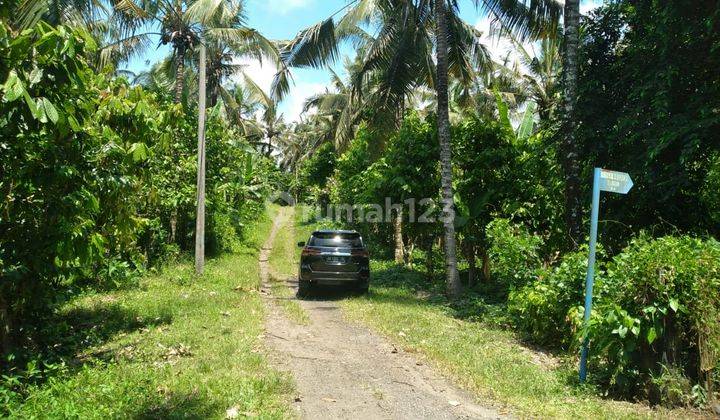 Tanah kebun di dekat Balian beach di Lalanglingah tabanan  1