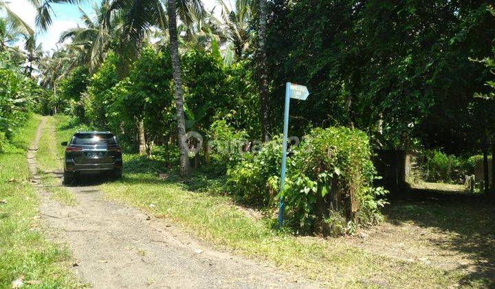 Tanah kebun di dekat Balian beach di Lalanglingah tabanan  2