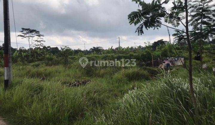 Land with a view of rice fields in Pejeng Ubud, good for a villa  2