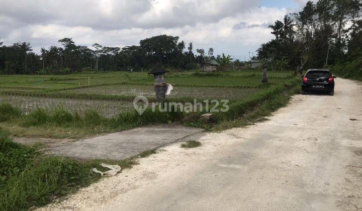 Land with a view of rice fields in Pejeng Ubud, good for a villa  1