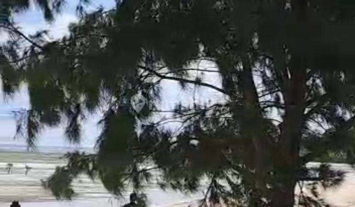 Loss pantai pasir Putih Sumba Timur di Pantai Tapil dan pantai Liang 2