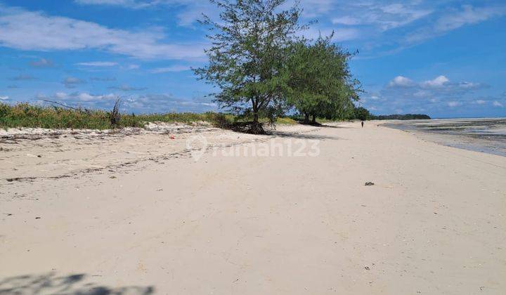 Loss pantai pasir Putih Sumba Timur di Pantai Tapil dan pantai Liang 1