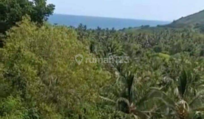 Di mana lagi dapat tanah murah di dekat kuta Lombok 10 menit ke Mandalika  2