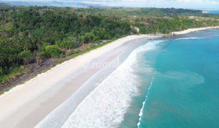 Tanah langsung pantai  pasir putih di konda maloba sumba tengah  1