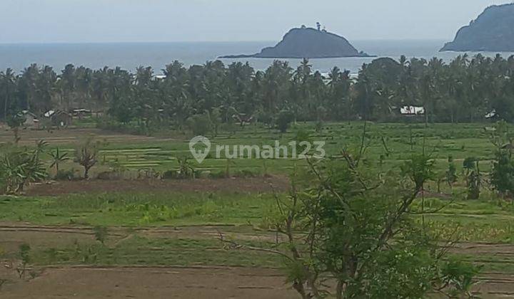 Tanah sudah SHM dengan view laut di pengantap sekotong lombok barat   1