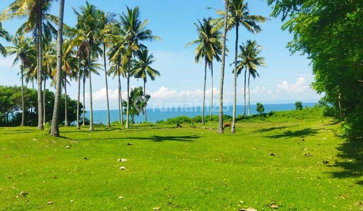 Tanah loss pantai di desa cupel, jembrana, sudah ada beberapa villa di sekitarnya 2