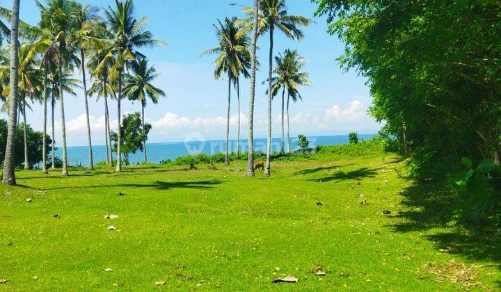 Tanah loss pantai di desa cupel, jembrana, sudah ada beberapa villa di sekitarnya 1