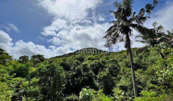 Tanah Dengan View Laut Di Mekarsari Lancing Lombok Tengah   2