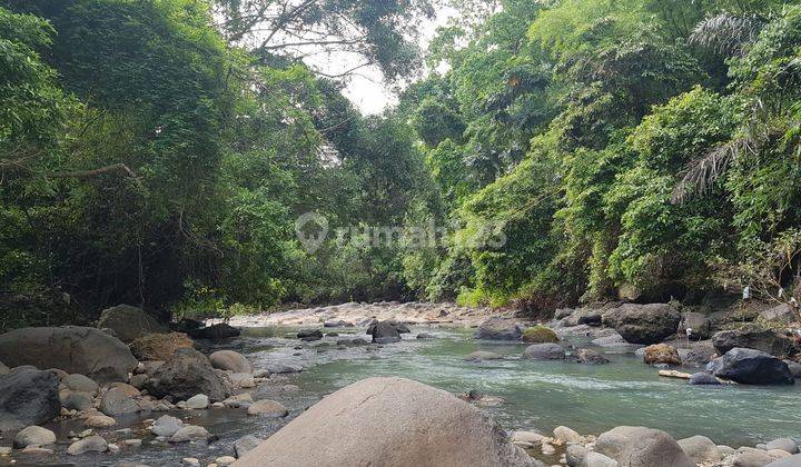 Land with views of rice fields and the river behind it, a few minutes to the Mengwi Gilimanuk toll gate 1