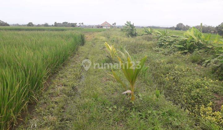 Tanah investasi di dekat pantai tabanan dengan view sawah dan pantai 2