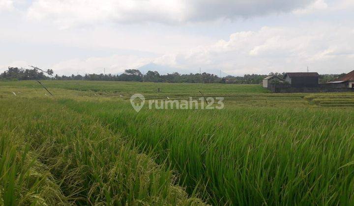 Tanah investasi di dekat pantai tabanan dengan view sawah dan pantai 1