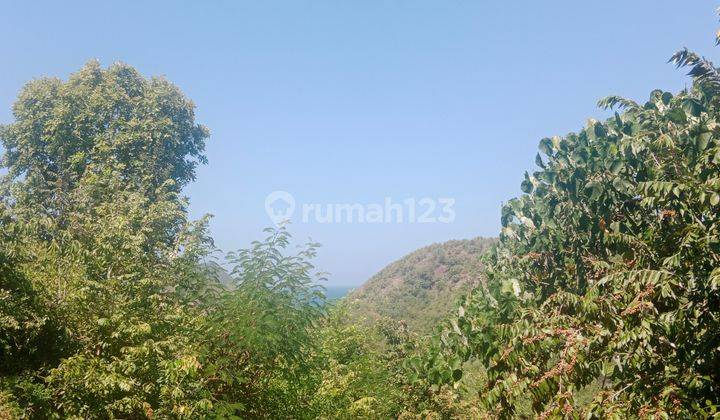 Tanah di dekat pantai Mawun,Mancing dan Tampah lombok tengah dengan pemandangan bukit dan sedikit icean view 1