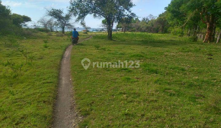 Tanah Tambak di Sumber kima Gerokgak singaraja langsung pantai , tanah Datar dan langsung pinggir jalan. Utama  2