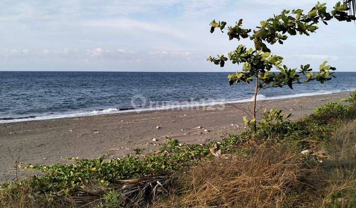 Tanah Tambak di Lombok Timur Langsung Pantai Datar Bukan Tebing Tanah Datar  1