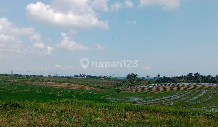 The land in Tabanan towards the Kelecung beach with a view of rice fields and the sea only a few hundred meters to the beach 1