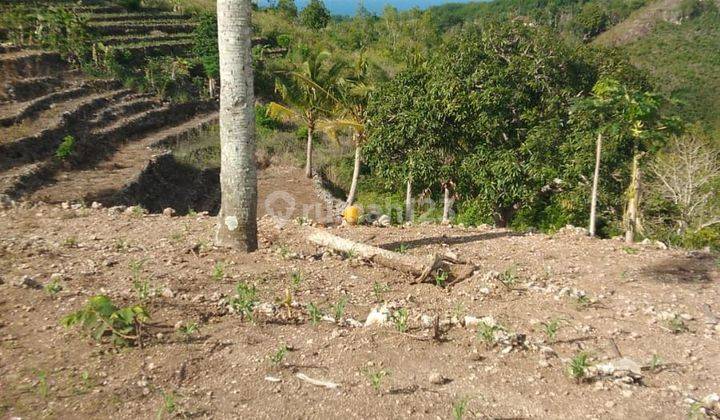 The moorland in Batukandik, Nusa Penida, with a distant view of the sea, can be purchased in part 1