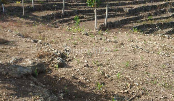 The moorland in Batukandik, Nusa Penida, with a distant view of the sea, can be purchased in part 2