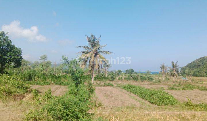 Tanah Datar Dengan Akses Jalan Kaki Ke Pantai  Lancing  Lancing Lombok Tengah, Sudah Banyak Villa Dan Resort Di Sekitarnya 1