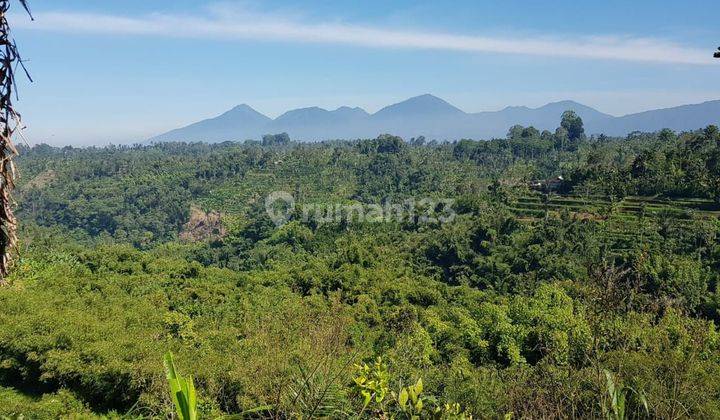 Tanah kebun di payangan dengan pemandangan gunung, sawah dan dapat sungai cocok untuk resort hanya 20 menit dari pasar payangan 2