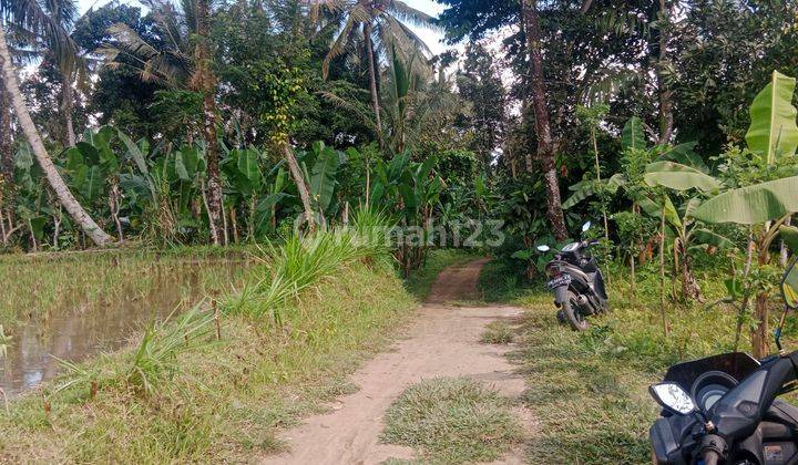 Land for lease ubud Payangan, 20 minutes from central ubud with view jungle, river and ricefield 2