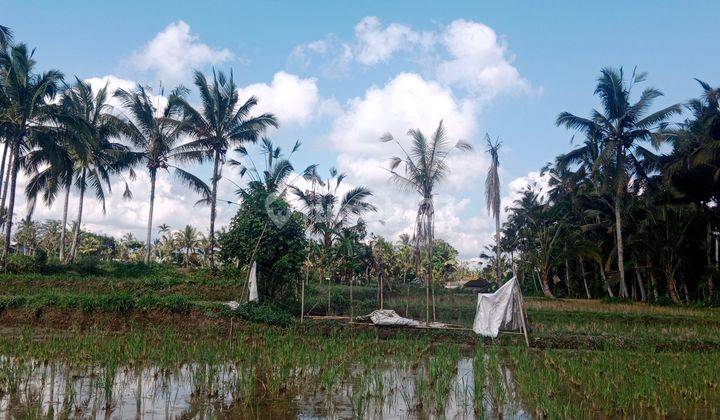 Land For Lease Ubud Payangan, 20 Minutes From Central Ubud With View Jungle, River And Ricefield 2