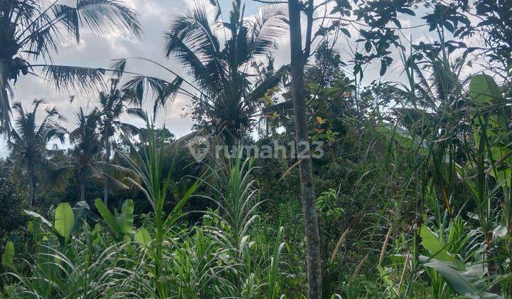 Land for lease ubud Payangan, 20 minutes from central ubud with view jungle, river and ricefield 1