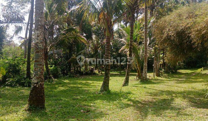 Land for lease in Payangan 20 minutes from central ubud with view jungle and flat land  1