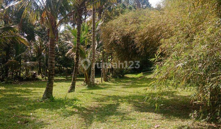 Land for lease in Payangan 20 minutes from central ubud with view jungle and flat land  2