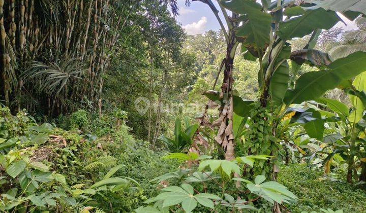 Land with views of rice fields and jungle in Tegalalang, Ubud, suitable for. Resort villas  2