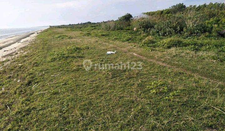 Tanah di Dekat ratenggaro dengan pasir putih tanah Datar siap di gunakan untuk sarana pariwisata 2