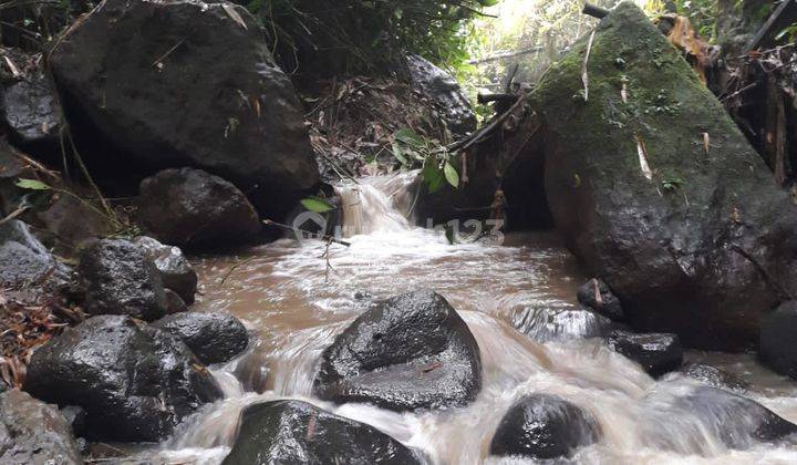 Tanah di kerta Payangan langsung sungai dan view lembah dan jungle tidak jauh dari jalan utama Payangan dengan akses private  2