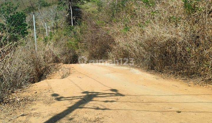 Tanah dengan pemandangan laut dan bukit di sekotong perbatasan dengan lombok tengah dan dapat tebing dan pantai 2