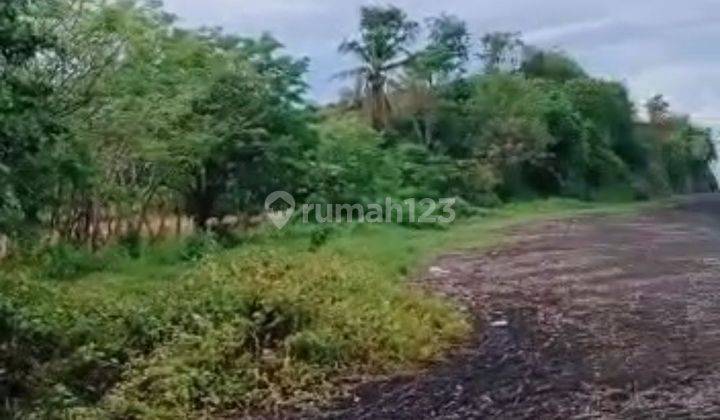 Tanah langsung pantai di kayangan lombok utara cocok. Untuk. Investasi atau tanah tambak 2