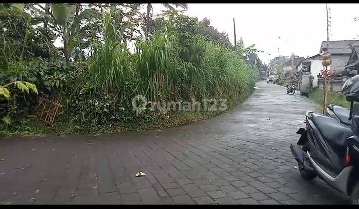 Tanah Kebun Di Luwus Zona Kuning Cocok Utk Tanah Kaveling Di Belakang Joger Luwus Harga Sangat Menarik 1